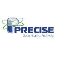 Precise Group logo - Similar company to Fukangren