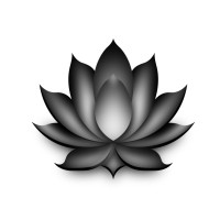 Dusa . Studio