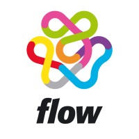 FLOW Consulting logo - Similar company to Flowgroup
