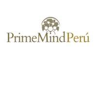 PrimeMind Perú logo - Similar company to Safe&Smart Solutions