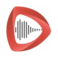 DubbingPros logo - Similar company to Tanweer Studios