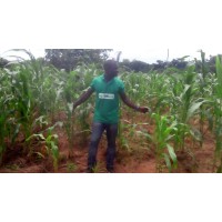 Agriculture mentorship logo - Similar company to Let'S Talk Agriculture Llc
