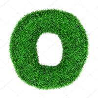 Wise Learners logo - Similar company to Wiselearner It Services Llp
