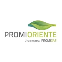 Promioriente logo - Similar company to Spec Lng