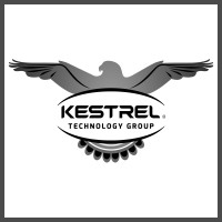 Kestrel Technology Group, LLC logo - Similar company to Kestrel Intelligence