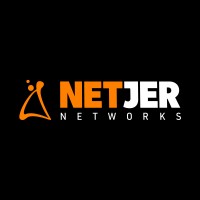 Netjer Networks logo - Similar company to Techtegia