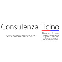 Consulenza Ticino sagl logo - Similar company to Mfg Consulting
