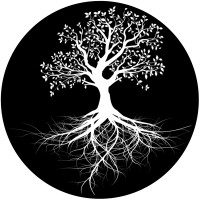 Mpd Organizations, Llc