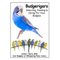 Just Budgies logo - Similar company to Pay It Forward - The Movement