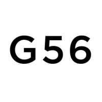 G56: TGD logo - Similar company to Woosung