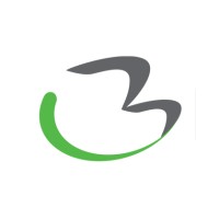 Boundless Assistive Technology logo - Similar company to Dolphin Computer Access