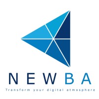 Newba ITC logo - Similar company to The Grangeside Group (Part Of Ua Consulting)