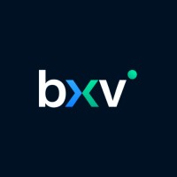 BXVentures logo - Similar company to Thermo Power Systems