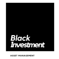 Black Investment logo - Similar company to Black Women Blockchain Council