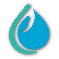 ConsulTech logo - Similar company to Bss Technologies