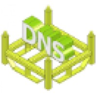 Deines-Nitz Solutions
