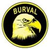 BURVAL TOGO logo - Similar company to Télécom Concept