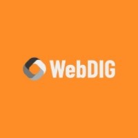 WebDig24 logo - Similar company to Red Ruby