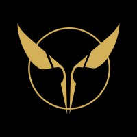 Vibes 432® logo - Similar company to Finense