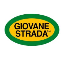 GIOVANE STRADA SRL logo - Similar company to Op System Danmark A/S