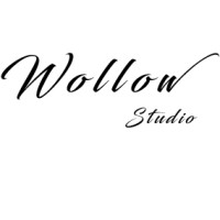 Wollow Studio logo - Similar company to Become You
