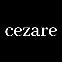 Cezare logo - Similar company to Mobintouch
