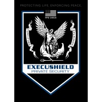 Execushield Inc. logo - Similar company to Barbier Security Group
