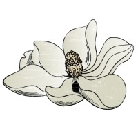 Delta Dawn Gifts logo - Similar company to Jumpto365