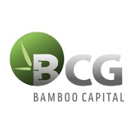 Bamboo Capital Careers logo - Similar company to Bcg Land
