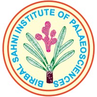 DST-Birbal Sahni Institute of Palaeosciences logo - Similar company to Bonfring Info Tech