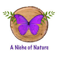 A Niche of Nature