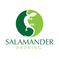 Salamander Broking - a division of X-Connect Trading Ltd logo - Similar company to Carbondrop™