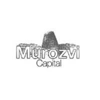 Murozvi Capital logo - Similar company to Equities Nest | Building Africa