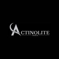 Actinolite India Private Limited logo - Similar company to Sumeet Kharb