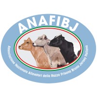 ANAFIBJ - Associazione Nazionale Allevatori della razza Frisona, Bruna e Jersey Italiana logo - Similar company to Anaborapi - National Association Of Piemontese Cattle Breeders