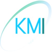 KM Insight logo - Similar company to Km Insights