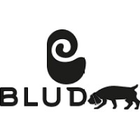 Blud Talent logo - Similar company to Squarish