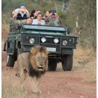 MOPAYA SAFARI LODGE logo - Similar company to Lumya Studio