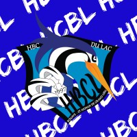 HANDBALL CLUB DU LAC logo - Similar company to Handball Orvault