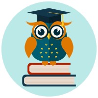 Wise Owl Academy logo - Similar company to Nirman Welfare Foundation