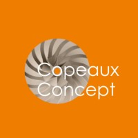 COPEAUX CONCEPT logo - Similar company to Les Copeaux Numériques