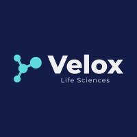 Velox Life Sciences logo - Similar company to Casp Technologies Limited