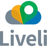 Liveli logo - Similar company to Mojave Networks