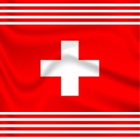 AmericanSWISS€uro Group logo - Similar company to Hooper Consulting