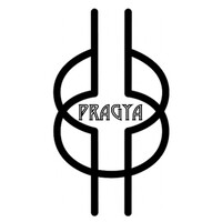 Pragya Consulting Limited logo - Similar company to Anders Analytics Ltd