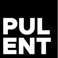 Pulent logo - Similar company to Opulent Developers