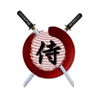 Digital Samurai logo - Similar company to Digital Consultants