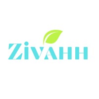 Zivahh LLC logo - Similar company to Lussotech Llc