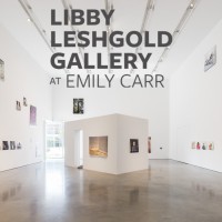 Libby Leshgold Gallery logo - Similar company to Boss Gym