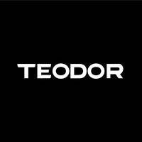 TEODOR Ltd. logo - Similar company to Nl4You